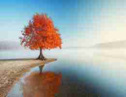 苹‍果​手﻿机﻿ssl错‍误​怎‌么‌解​决‍